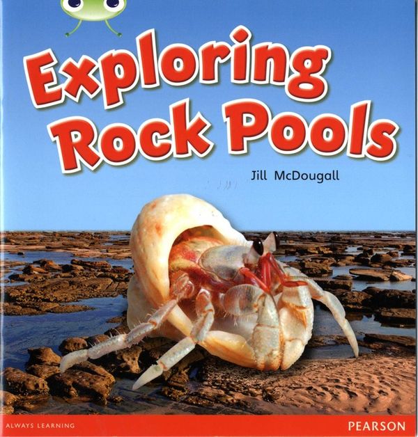 Bug Club Guided Non Fiction Year 1 Green C Exploring Rock Pools | 0:e upplagan