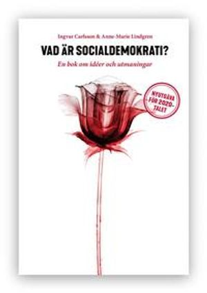 Vad är socialdemokrati?