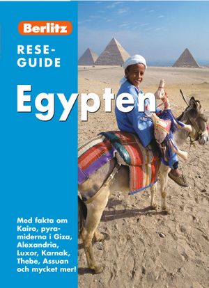 Egypten : med fakta om Kairo, pyramiderna i Giza, Alexandria, Luxor, Karnak, Thebe, Assuan och mycket mer! | 1:a upplagan