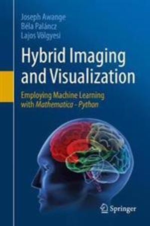 Hybrid Imaging and Visualization | 1:a upplagan