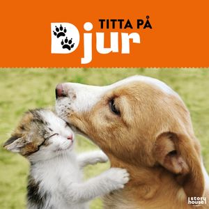 Titta på djur