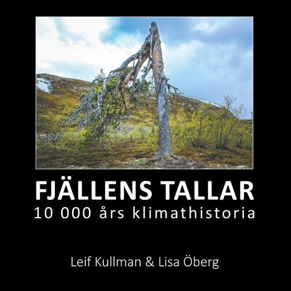 Fjällens tallar : 10 000 års klimathistoria | 1:a upplagan