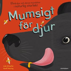 Mumsigt för djur : elva djur och deras munsbitar i naturlig storlek | 1:a upplagan