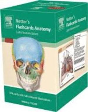 Anatomie Flashcards OLD