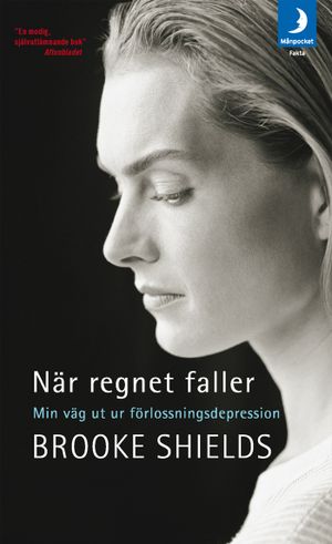 När regnet faller : min väg ut ur förlossningsdepression