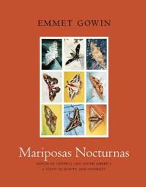 Mariposas Nocturnas