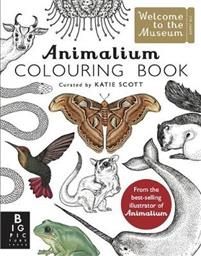 Animalium Colouring Book