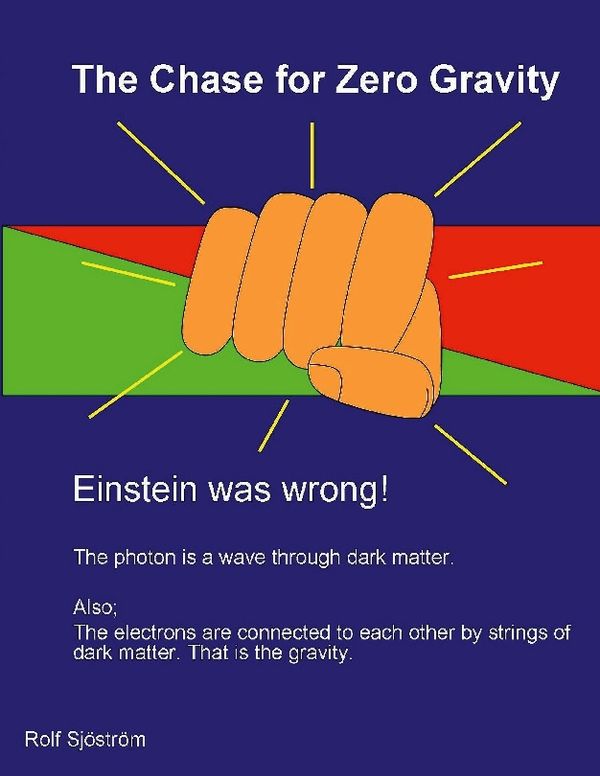 The chase for zero gravity : and the discovery of the ocean of strings | 1:a upplagan