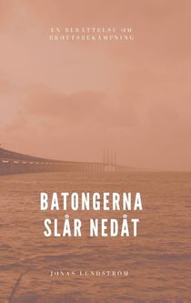 Batongerna slår nedåt : en berättelse om brottsbekämpning