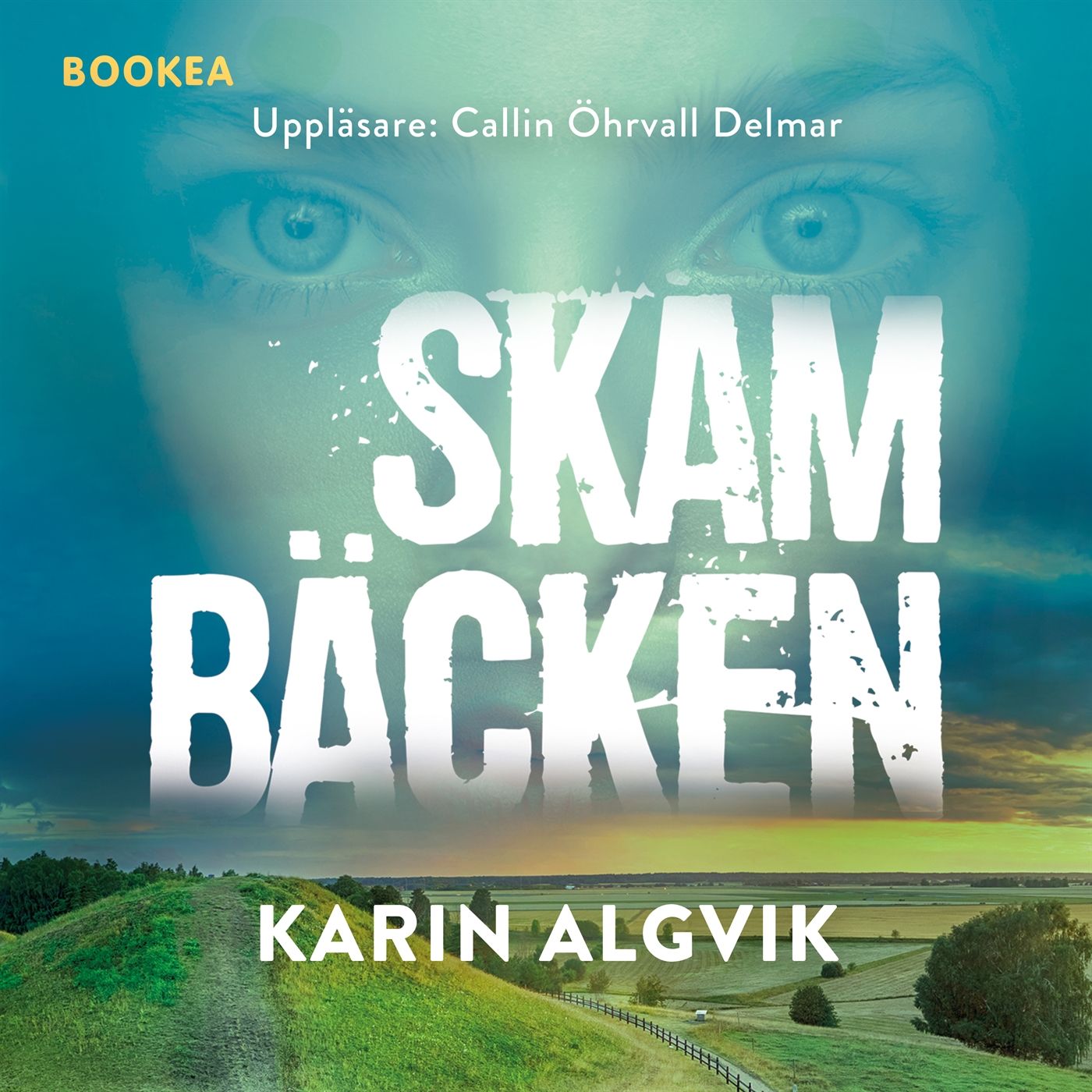 Skambäcken - Karin Algvik