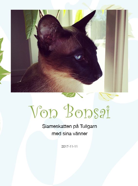 Von Bonsai : siameskatten på Tullgarn med sina vänner | 0:e upplagan