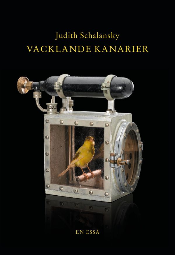 Vacklande kanarier | 0:e upplagan