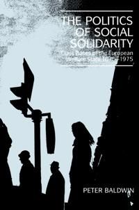 The Politics of Social Solidarity | 0:e upplagan