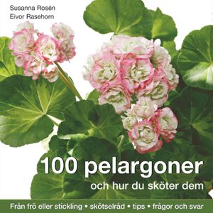 100 pelargoner och hur du sköter dem