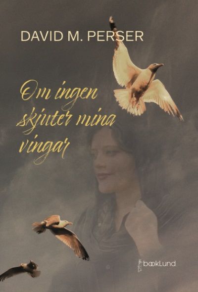 Om ingen skjuter mina vingar | 1:a upplagan