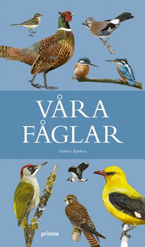 Våra fåglar | 1:a upplagan