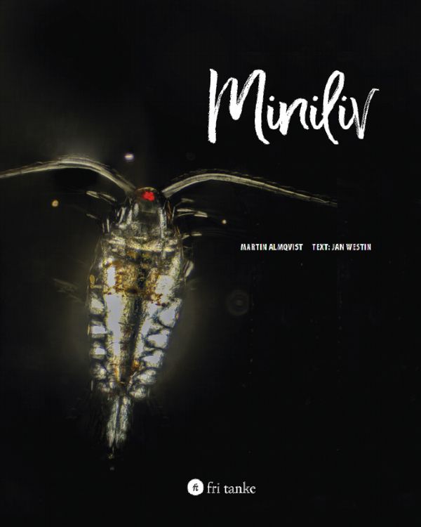 Miniliv | 0:e upplagan