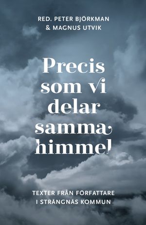 Precis som vi delar samma himmel. Texter från författare i Strängnäs kommun | 1:a upplagan