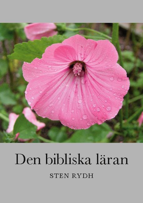 Den bibliska läran : En sammanfattning av den evangelisk-lutherska kyrkans | 1:a upplagan