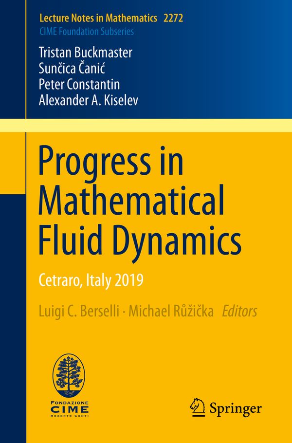 Progress in Mathematical Fluid Dynamics | 1:a upplagan