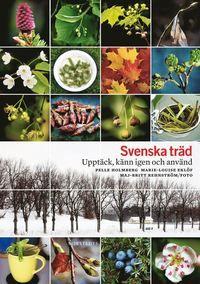 Svenska träd : upptäck, känn igen och använd
