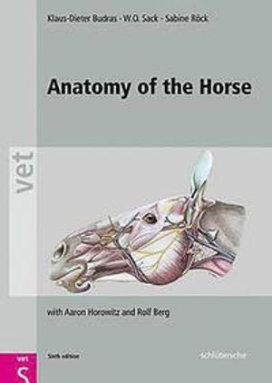 Anatomy of the Horse, Sixth Edition | 6:e upplagan