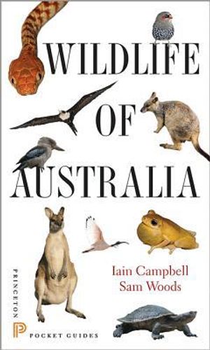 Wildlife of australia