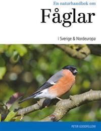 En naturhandbok om fåglar i Sverige & Nordeuropa