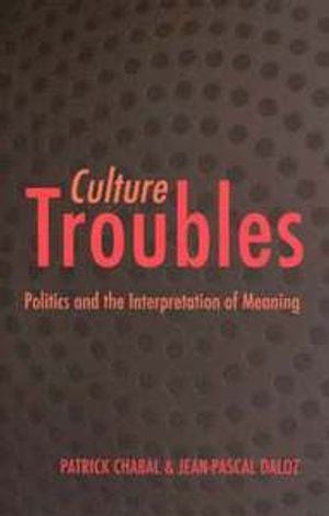 Culture Troubles: Politics and the Interpretation of Meaning