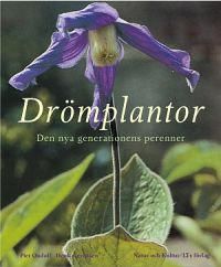 Drömplantor : den nya generationen perenner