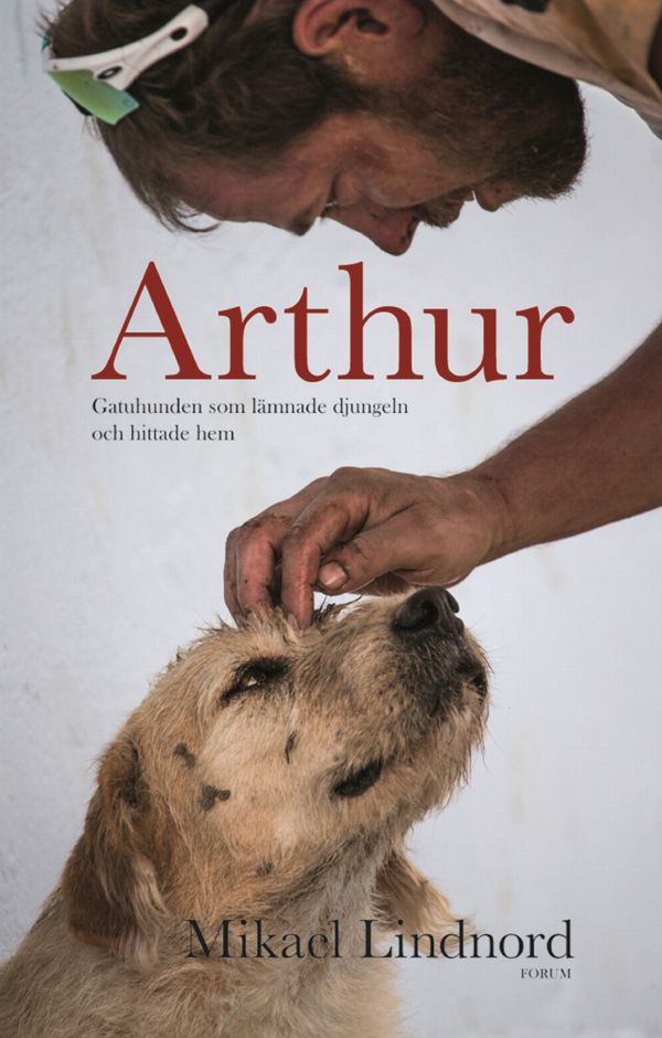 Arthur - Gatuhunden som lämnade djungeln och hittade hem : The dog who crossed the jungle to find a home | 0:e upplagan