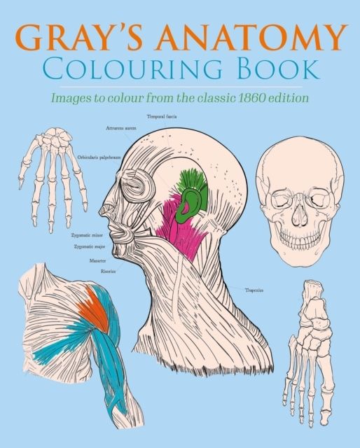 Gray's Anatomy Colouring Book | 0:e upplagan