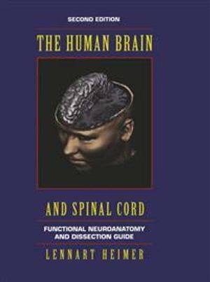 The human brain and spinal cord