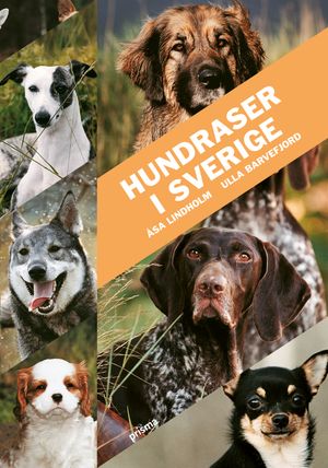 Hundraser i Sverige |  2:e upplagan