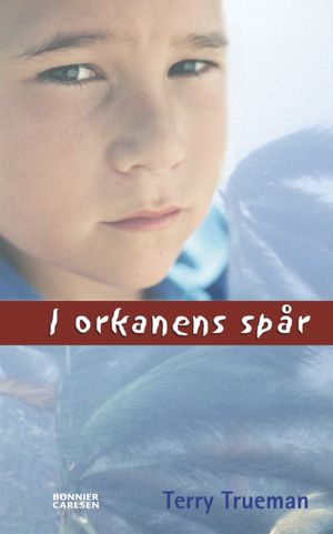 I orkanens spår