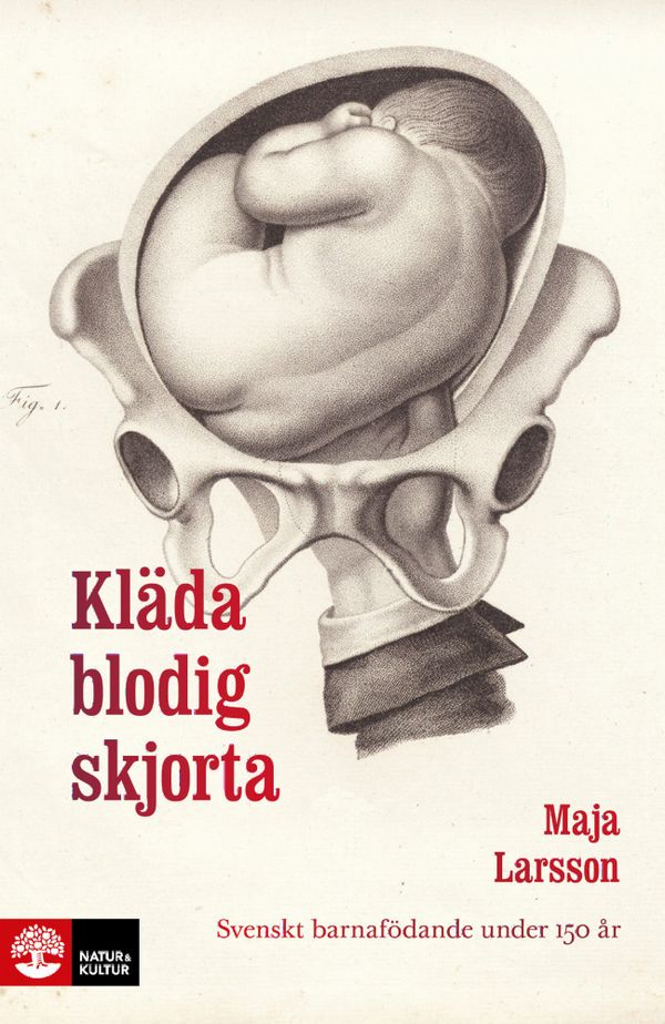 Kläda blodig skjorta : svenskt barnafödande under 150 år | 1:a upplagan