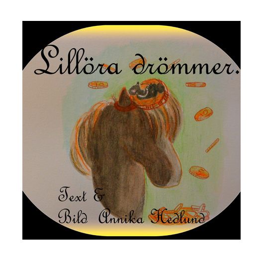 Lillöra drömmer, men "Allt är inte guld som glimmar" | 0:e upplagan