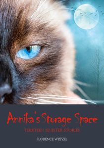 Annika's Storage Space : Thirteen Sinister Stories