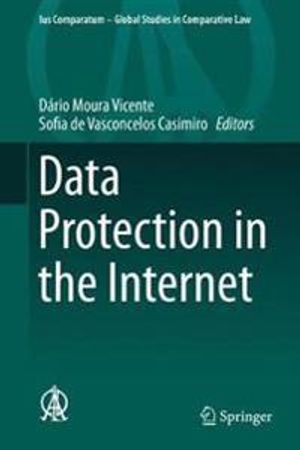 Data Protection in the Internet | 1:a upplagan