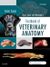 Dyce, sack, and wensings textbook of veterinary anatomy