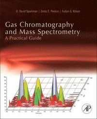 Gas Chromatography And Mass Spectrometry: A Practical Guide - Fulton G. Kitson - Upplaga 2