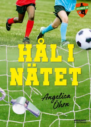 Hål i nätet | 1:a upplagan