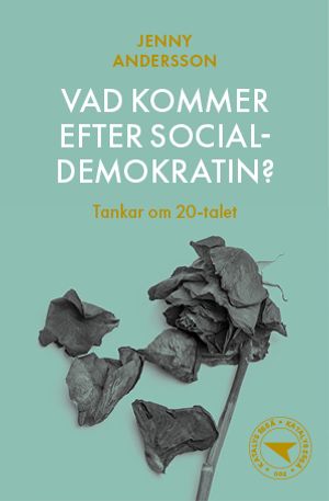 Vad kommer efter socialdemokratin?