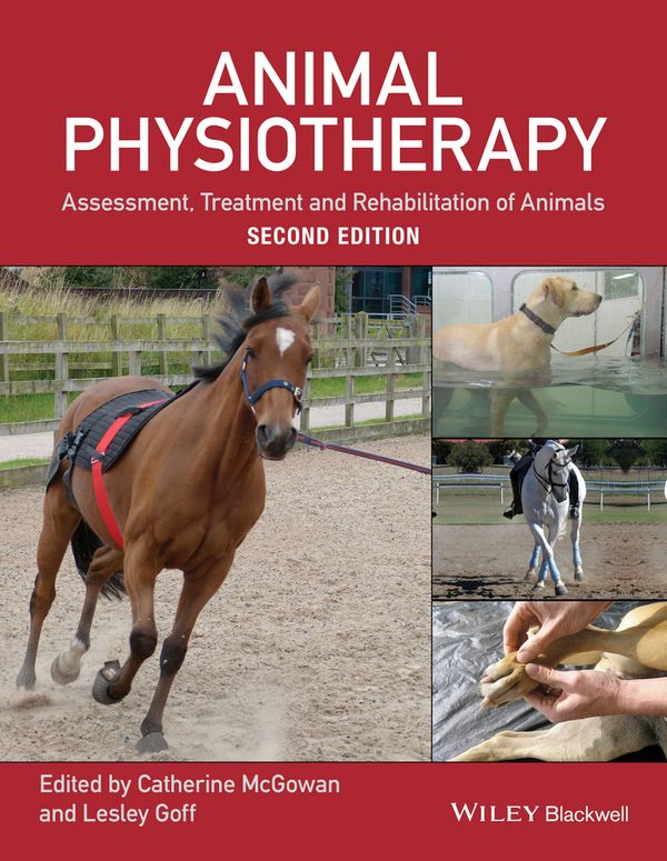 Animal Physiotherapy | 1:a upplagan