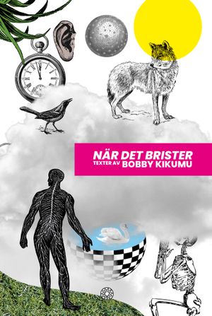 När det brister | 1:a upplagan