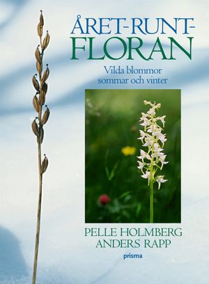 Året-runt-floran : Vilda blommor sommar och vinter | 1:a upplagan