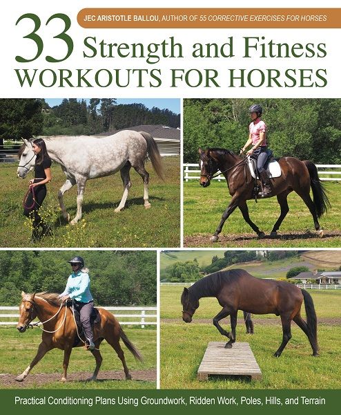 33 Strength and Fitness Workouts for Horses | 0:e upplagan
