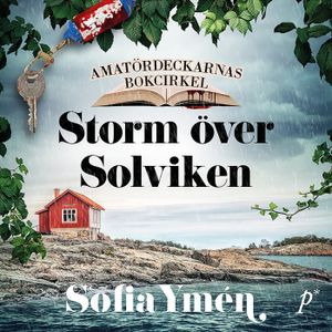 Storm över Solviken | 3:e upplagan