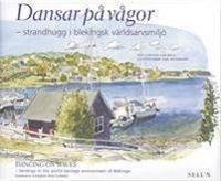Dansar på vågor : strandhugg i blekingsk världsarvsmiljö = Dancing on waves | 0:e upplagan
