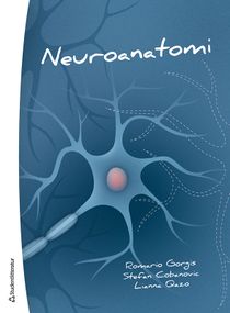 Neuroanatomi - ett kompendium